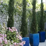 La Roseraie Restaurant Hotell 3*