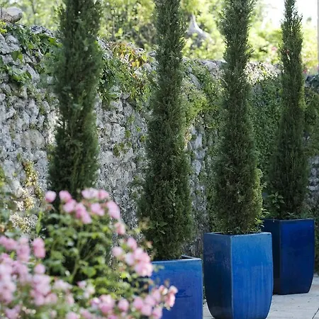 La Roseraie Restaurant Hotel 3*